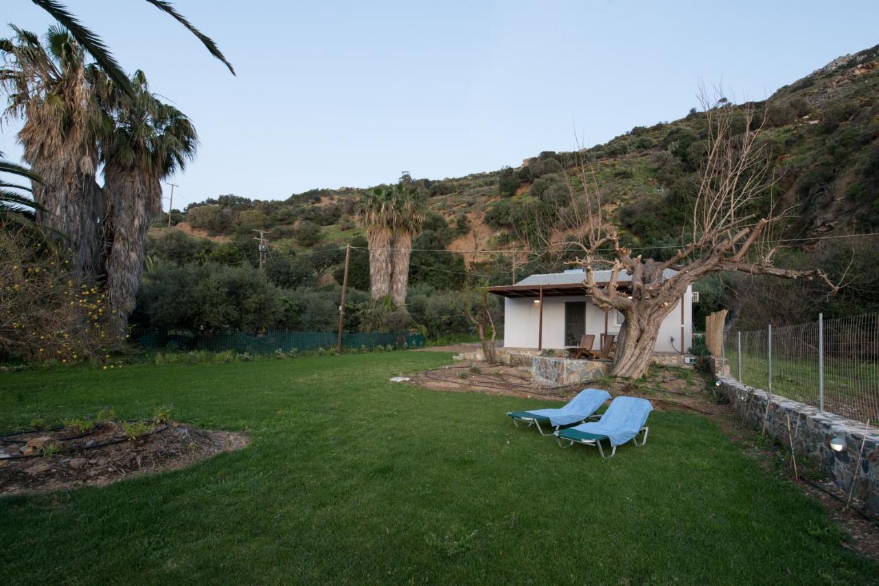 Jane'S House Villa Ravdhoukha Exterior photo